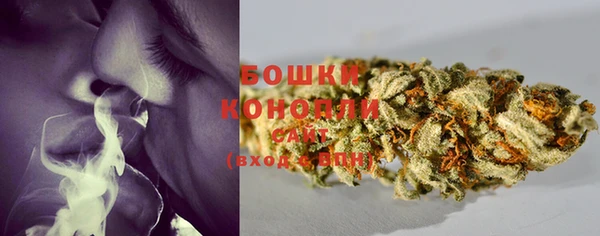 кокс Богородицк