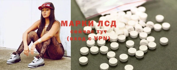 шишки Белокуриха