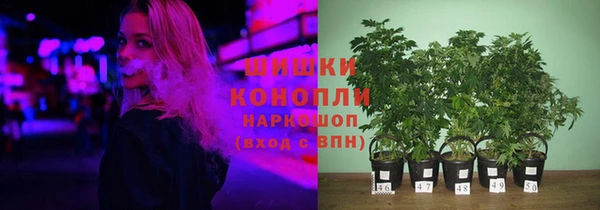 кокс Богородицк