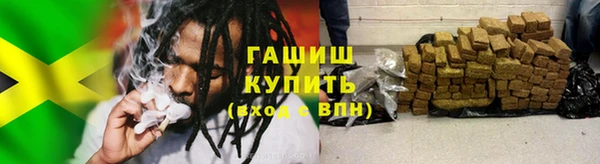 шишки Белокуриха
