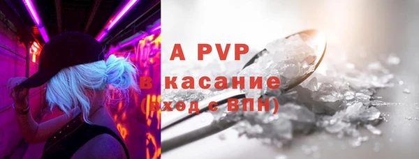 spice Беломорск