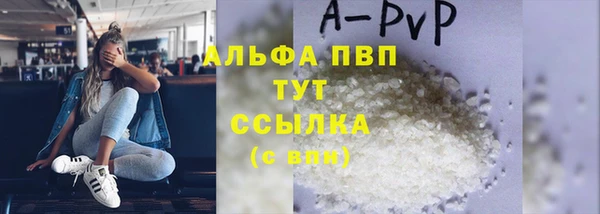 spice Богородск