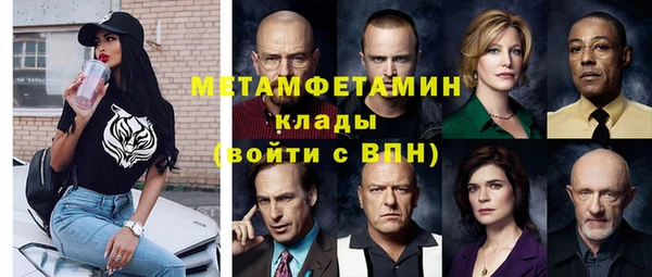 шишки Белокуриха