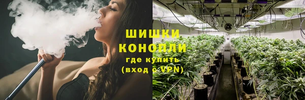 шишки Белокуриха
