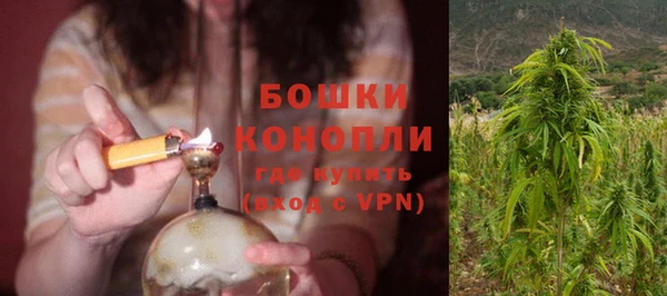 spice Богородск