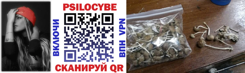 ссылка на мегу как войти  Сковородино  Галлюциногенные грибы ЛСД  продажа наркотиков 